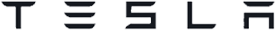 TESLR